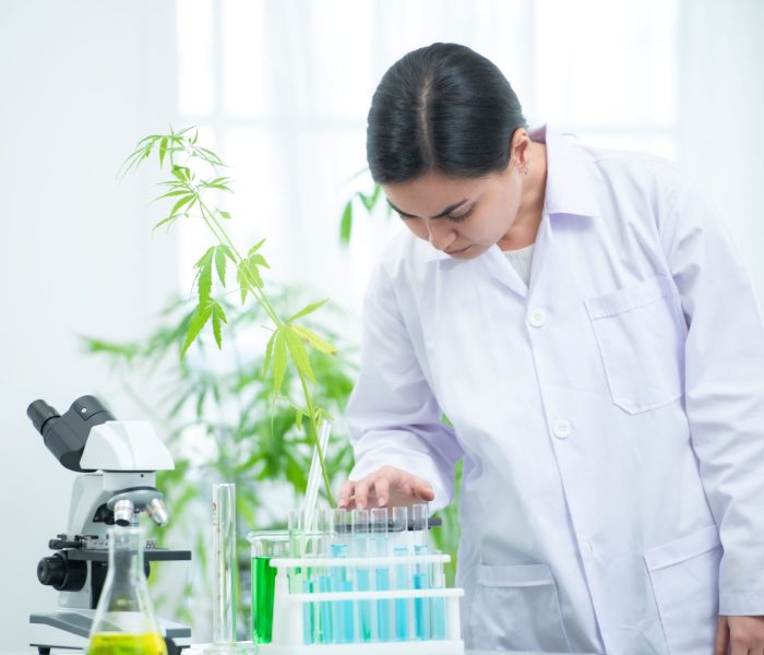 in-the-university-science-lab-researchers-are-ana-2025-01-08-04-58-55-utc